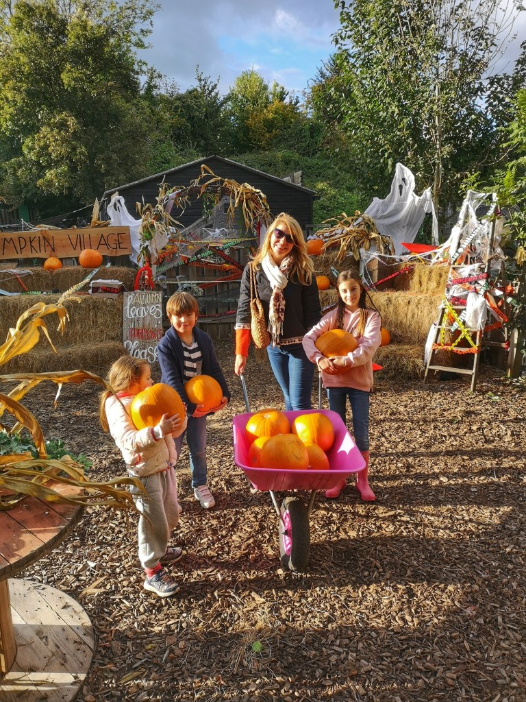 Bocketts Farm Park bucolic days out in Surrey Zenbabytravel